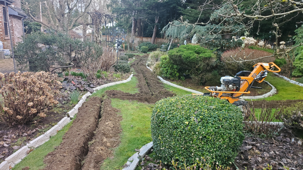 Trench lines going through the backyard grass with the trencher parked sideways center to the picture. The grass is narrow with large planter beds on either side. The plants are all dormant with no green